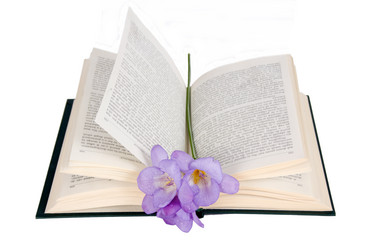 Similar image 1195315