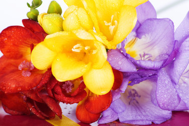 Similar image 1195320