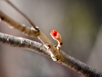 Similar image 1195321