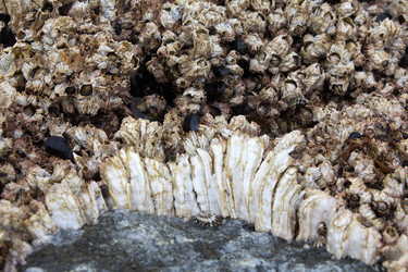 Similar image 1195324