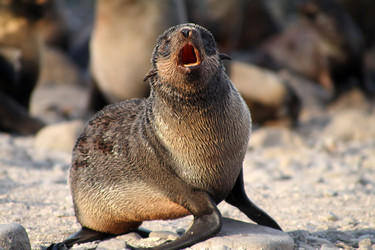 Similar image 1195325