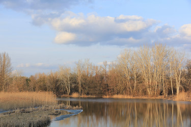 Similar image 1195327