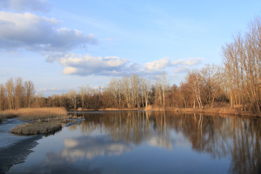 Similar image 1195330