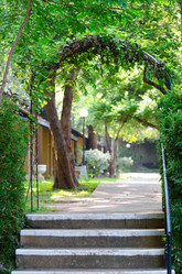 Similar image 1195482