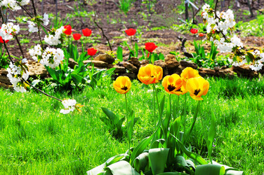 Similar image 1195486