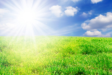 Similar image 1195487