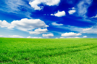 Similar image 1195489