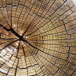 Similar image 1195490