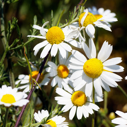 Similar image 1195504