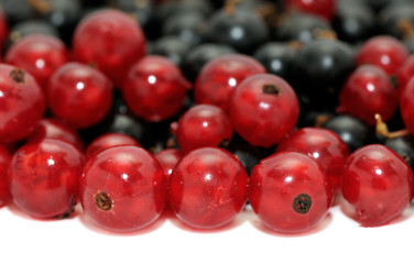 Similar image 1195508