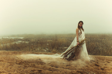 Similar image 1195516