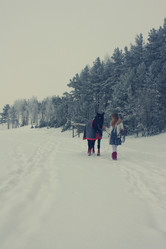 Similar image 1195527