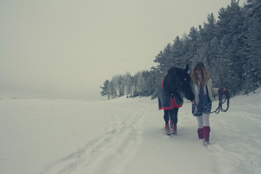 Similar image 1195528