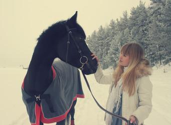 Similar image 1195529