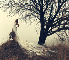 Similar image 1195548