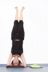 Similar image 1195613