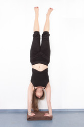 Similar image 1195614