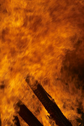 Similar image 1195658