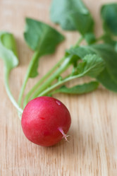 Similar image 1195667