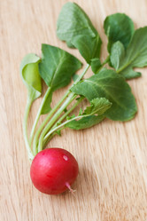 Similar image 1195670