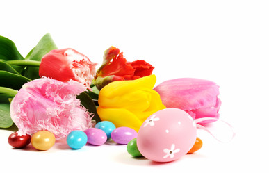 Similar image 1195677