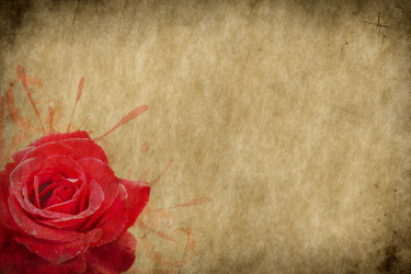 Similar image 1195681