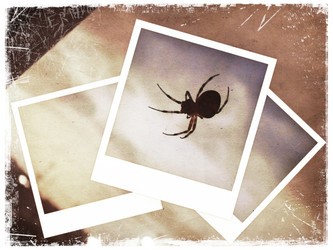 Similar image 1195685