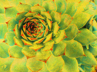 Similar image 1195688