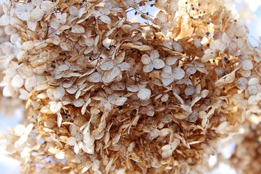 Similar image 1195710