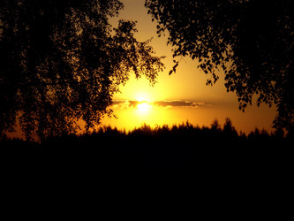 Similar image 1195711