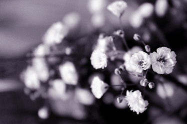 Similar image 1195716