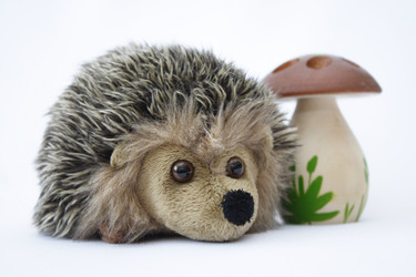 Similar image 1195759