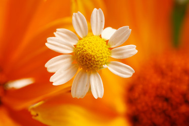 Similar image 1195828