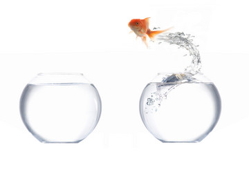 Similar image 1195855