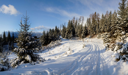 Similar image 1195856