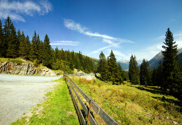 Similar image 1195859