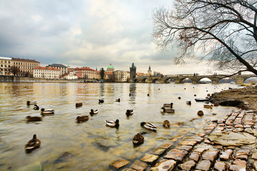 Similar image 1195871