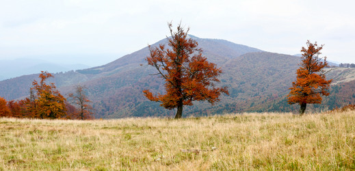 Similar image 1195879