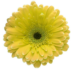 Similar image 1196086