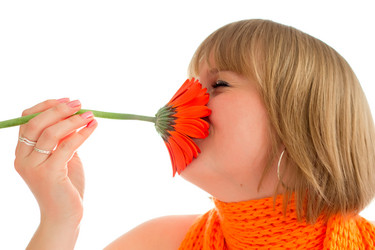 Similar image 1196107