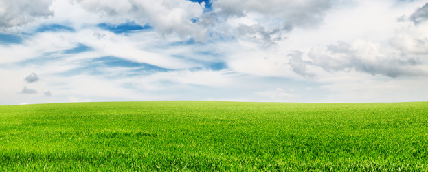 Similar image 1196115