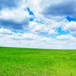 Similar image 1196119