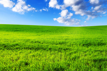 Similar image 1196121