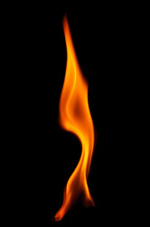 Similar image 1196122