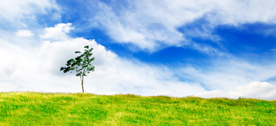 Similar image 1196125