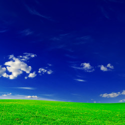 Similar image 1196127