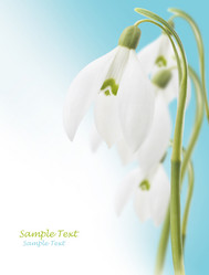 Similar image 1196170