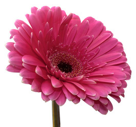 Similar image 1196190