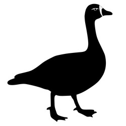 Similar image 1196205