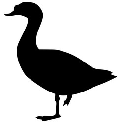 Similar image 1196207